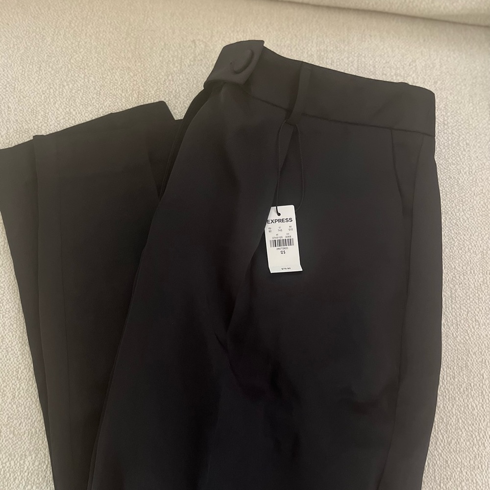 Express High Waisted Pleated